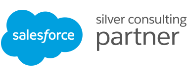 salesforce silver consulting partner color transparent