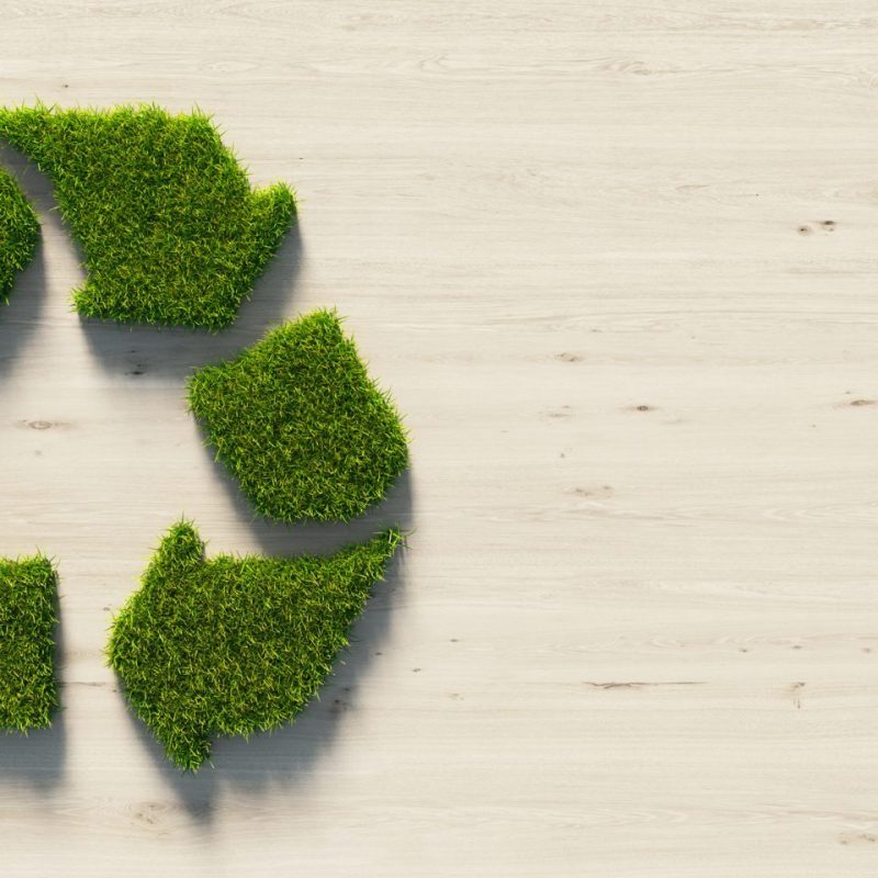 Grasping and Tackling Sustainability Challenges for Brands | Understanding and Tackling sustainability Challenges for brands OPT