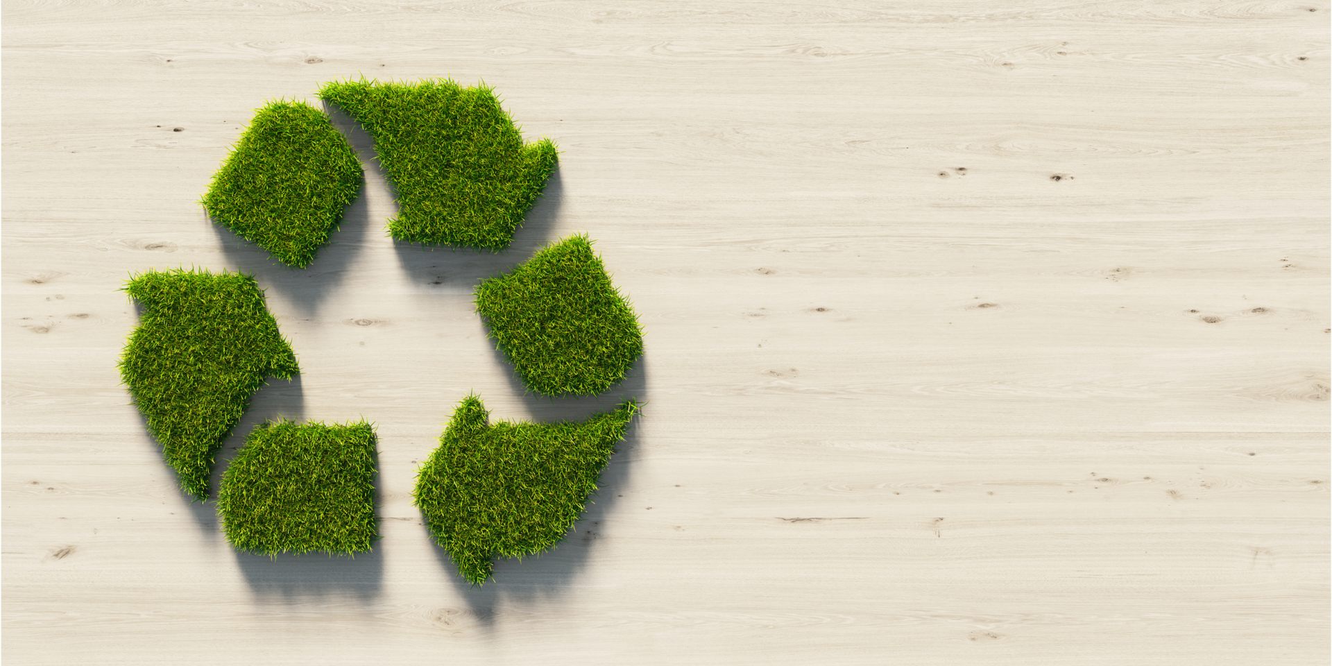 Grasping and Tackling Sustainability Challenges for Brands