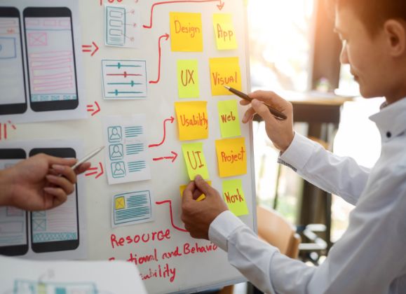 IMS Software Development Firm